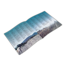 Load image into Gallery viewer, Alanis Morissette - Havoc And Bright Lights (2LP Crystal Clear vinyl)