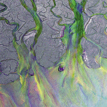 Load image into Gallery viewer, Alt-J - An Awesome Wave (Recycled Metallic vinyl)