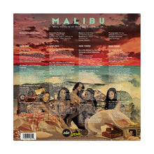 Load image into Gallery viewer, Anderson .Paak - Malibu (10th Anniversary Edition, 2LP Zoetrope Picture Disc)