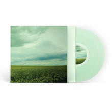 Load image into Gallery viewer, Antarctica - 23:03 (Coke Bottle Clear vinyl)