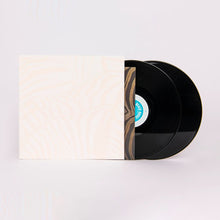 Load image into Gallery viewer, Beach House - Teen Dream (2LP)