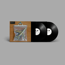 Load image into Gallery viewer, Black Country, New Road - Ants From Up There (2LP)
