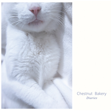 Load image into Gallery viewer, Chestnut Bakery - Diaries (10th Anniversary Edition, 2LP Clear vinyl)