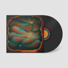 Load image into Gallery viewer, Claire Rousay - A Softer Focus