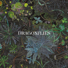 Load image into Gallery viewer, Dragonflies - Dragonflies (Transparent Green vinyl)
