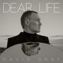 Load image into Gallery viewer, David Gray - Dear Life (CD)