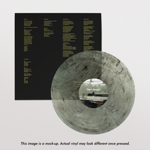 Load image into Gallery viewer, Destroyer - Dan's Boogie (Black & Clear Swirl vinyl)