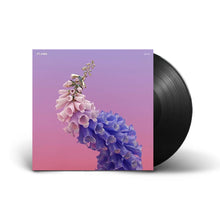 Load image into Gallery viewer, Flume - Skin (2LP)