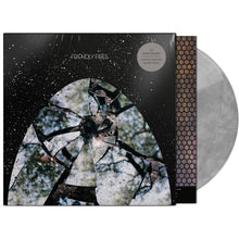 Load image into Gallery viewer, Friendly Fires - Friendly Fires (15th Anniversary Edition, Silver)