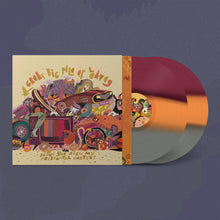 Load image into Gallery viewer, A Great Big Pile Of Leaves - Have You Seen My Prefrontal Cortex? (Tri-Stripe vinyl)