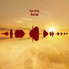 Load image into Gallery viewer, Kate Bush - Aerial (2LP Goldy Locks)