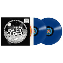 Load image into Gallery viewer, Modest Mouse - An Eraser And A Maze (2LP Ocean Floor vinyl)