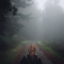 Load image into Gallery viewer, MONO - Under The Pipal Tree (25th Anniversary Edition) (2LP Iridescent Forest Night vinyl)