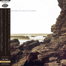 Load image into Gallery viewer, Polygon Window (Aphex Twin) - Surfing On Sine Waves (Expanded Edition, Japan Edition, 3LP)