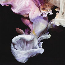 Load image into Gallery viewer, Simian Mobile Disco - Murmurations