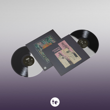 Load image into Gallery viewer, Spirit Of The Beehive - Hypnic Jerks (Black & White Split vinyl)