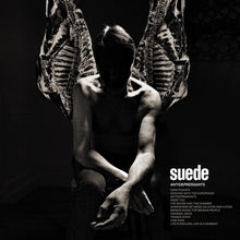 Load image into Gallery viewer, Suede - Antidepressants