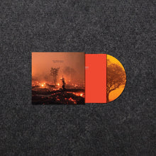 Load image into Gallery viewer, The Observatory - August Is The Cruellest (CD)
