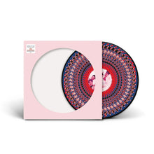 Load image into Gallery viewer, Take That - Everything Changes (Zoetrope Picture Disc) - NAD 2024