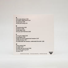 Load image into Gallery viewer, The Orchids - Lyceum (2LP)