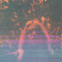 Load image into Gallery viewer, Turnover - Peripheral Vision (10 Year Anniversary Deluxe Edition Box Set)