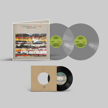 Load image into Gallery viewer, Various - The Endless Coloured Ways: The Songs of Nick Drake (2LP Grey Vinyl + 7"