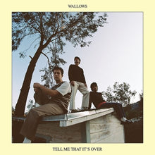 Load image into Gallery viewer, Wallows - Tell Me That It's Over (Yellow)