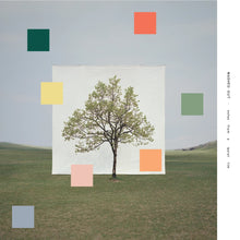 Load image into Gallery viewer, Washed Out - Notes From A Quiet Life (Loser Edition, Honeydew Melon vinyl)