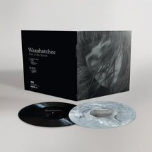Load image into Gallery viewer, Waxahatchee - Out In The Storm (2LP Cloud White)