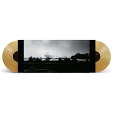 Load image into Gallery viewer, Envy - Insomniac Doze (Anniversary Edition, 2LP Metallic Gold vinyl)