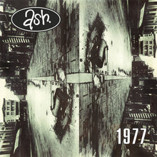 Load image into Gallery viewer, Ash - 1977 (Black & White Splatter)