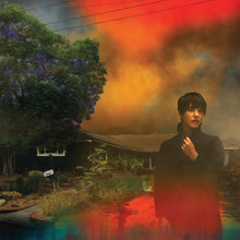 Load image into Gallery viewer, Sharon Van Etten - We've Been Going About This All Wrong (Marble Smoke)