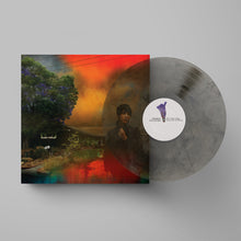 Load image into Gallery viewer, Sharon Van Etten - We've Been Going About This All Wrong (Marble Smoke)
