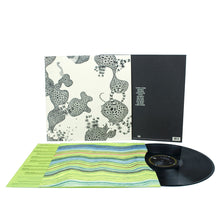 Load image into Gallery viewer, The Shins - Wincing the Night Away