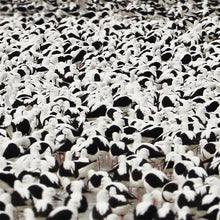 Load image into Gallery viewer, Stella Donnelly - Flood (Red)