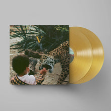 Load image into Gallery viewer, Unknown Mortal Orchestra - V (2LP, Legendary Edition)