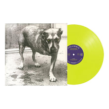 Load image into Gallery viewer, Alice In Chains - Alice In Chains (30th Anniversary Edition, 2LP Highlighter Yellow vinyl)
