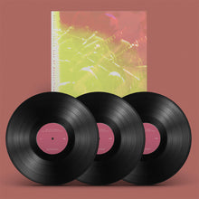 Load image into Gallery viewer, Adrianne Lenker - Live at Revolution Hall (3LP) - RSD 2026
