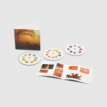 Load image into Gallery viewer, Aphex Twin - Selected Ambient Works Volume II (Expanded Edition, Japan Edition, 3CD)
