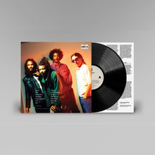 Load image into Gallery viewer, Bad Brains - Rise
