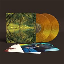 Load image into Gallery viewer, [PRE ORDER] Band of Horses - Everything All The Time (20th Anniversary Edition) (2LP Loser Edition)
