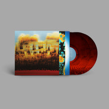 Load image into Gallery viewer, Bonobo - Distance In Static (Limited Edition, 2LP Red Haze Marble vinyl)
