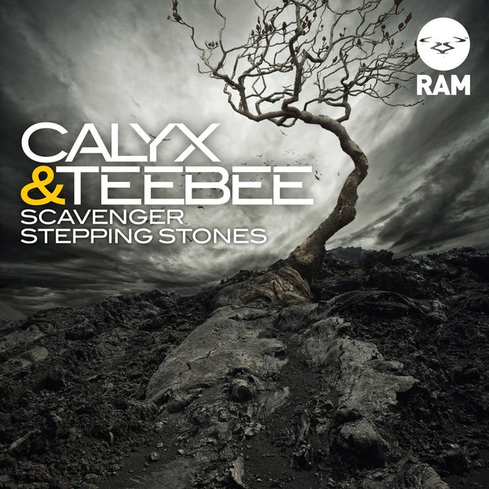 Calyx & Teebee - Scavenger / Stepping Stones