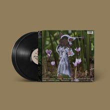 Load image into Gallery viewer, Car Seat Headrest - The Scholars (2LP)
