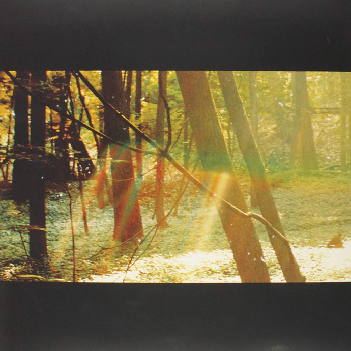 Childish Gambino - Camp (2LP)