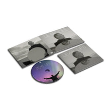 Load image into Gallery viewer, David Gray - Dear Life (CD)
