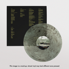 Load image into Gallery viewer, [PRE ORDER] Destroyer - Dan&#39;s Boogie (Black &amp; Clear Swirl vinyl)
