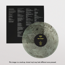 Load image into Gallery viewer, [PRE ORDER] Destroyer - Dan&#39;s Boogie (Black &amp; Clear Swirl vinyl)
