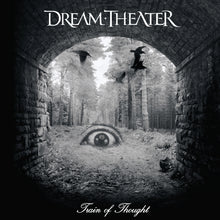 Load image into Gallery viewer, Dream Theater - Train Of Thought (2LP Clear vinyl) - ROCKTOBER 2025
