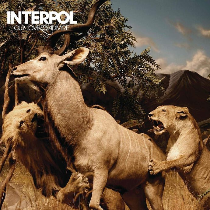 Interpol - Our Love To Admire (2LP)